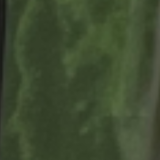 Couleur : Vert Granite