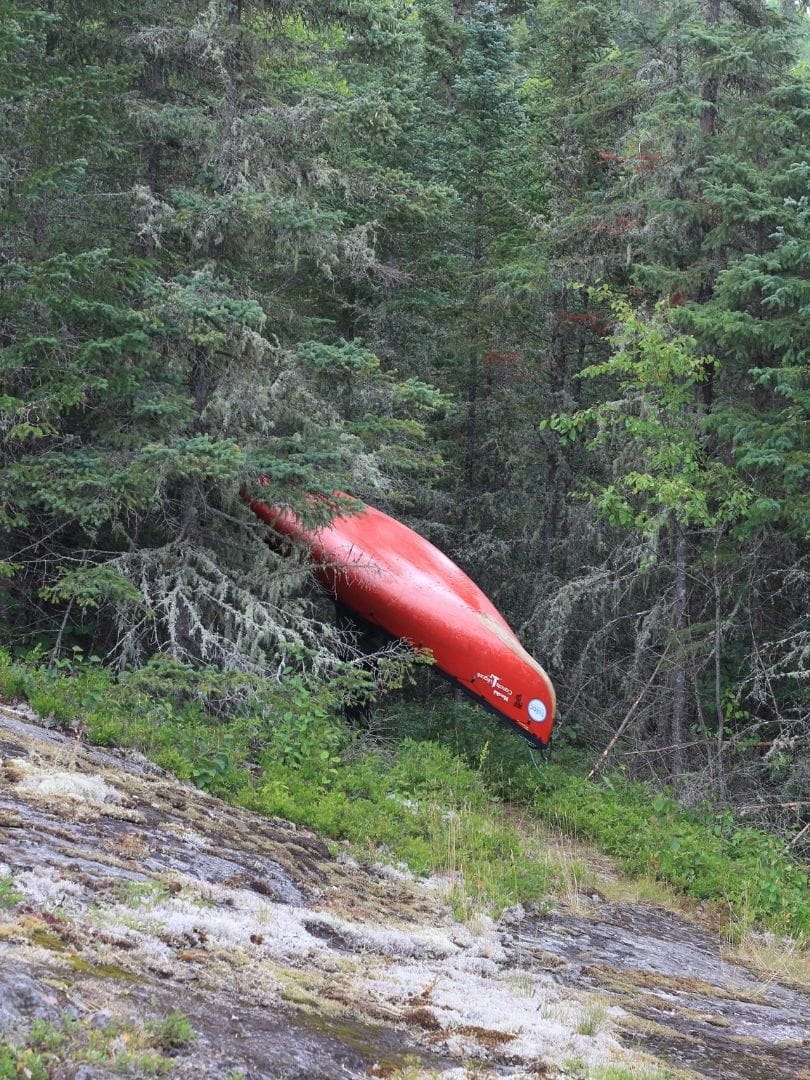 Portage d'un canot Prospecteur d'Esquif rouge dans forêt dense en Ontario